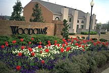 Woodchase Apartments - Cordova, TN