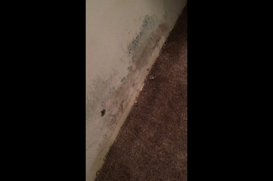 Summerstone Apartments 76 Reviews Houston Tx Apartments For