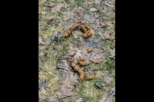 Fairview Court Apartments 2 Reviews Fort Wayne In Apartments