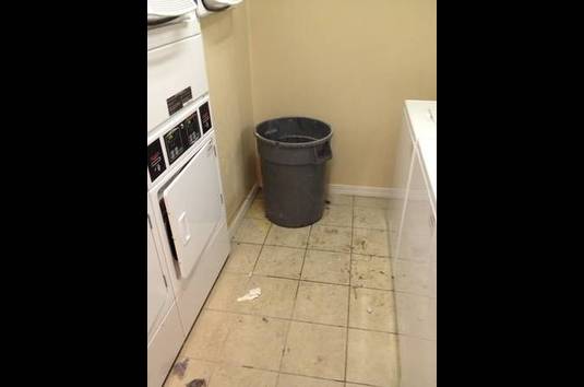 Huntington Apartments 82 Reviews College Station Tx