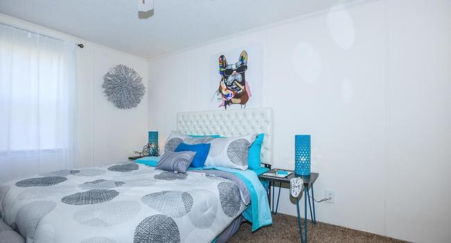 Papermill Square Apartments - 80 Reviews | Knoxville, TN Apartments for