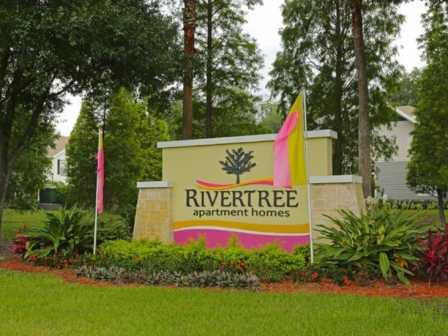 RiverTree  - Riverview FL