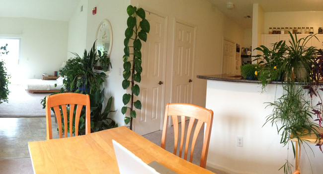 Rosemont Brookhaven 559 Reviews Bellport Ny Apartments For
